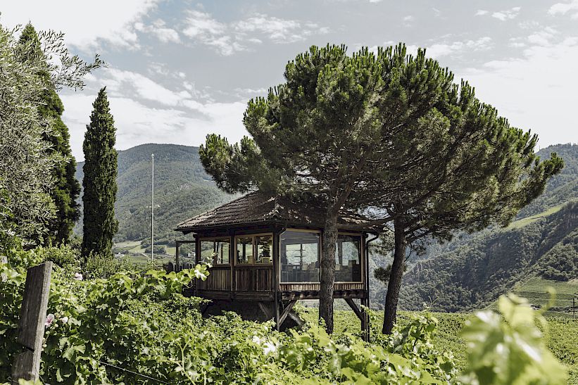 degustazioni di vini bolzano alto adige