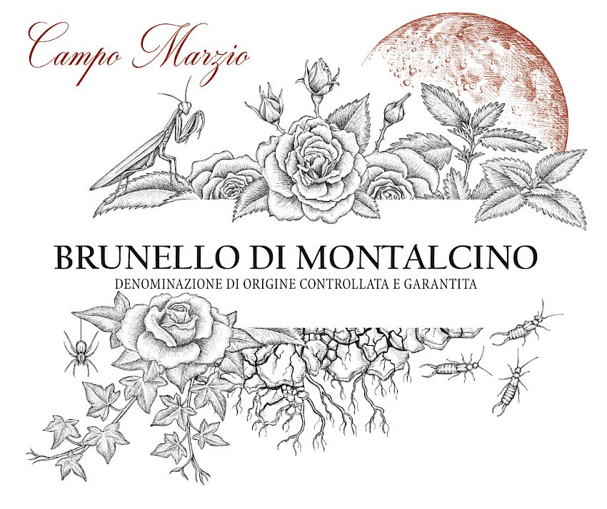 bedeutung campo marzio brunello corte pavone montalcino