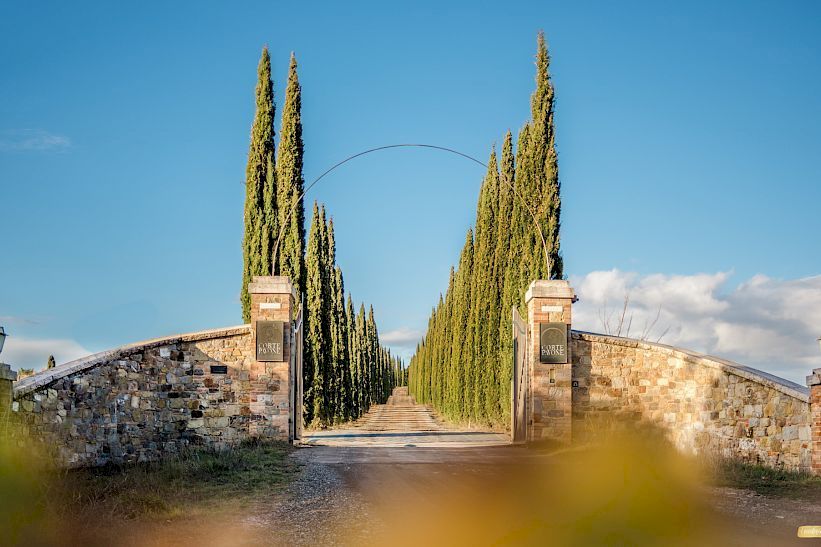 wine tasting tour montalcino tuscany