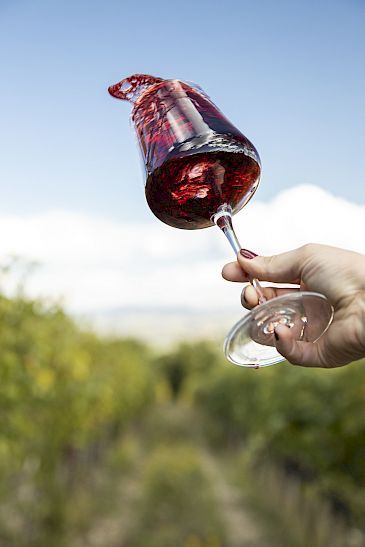 beste weingut toskana besuchen