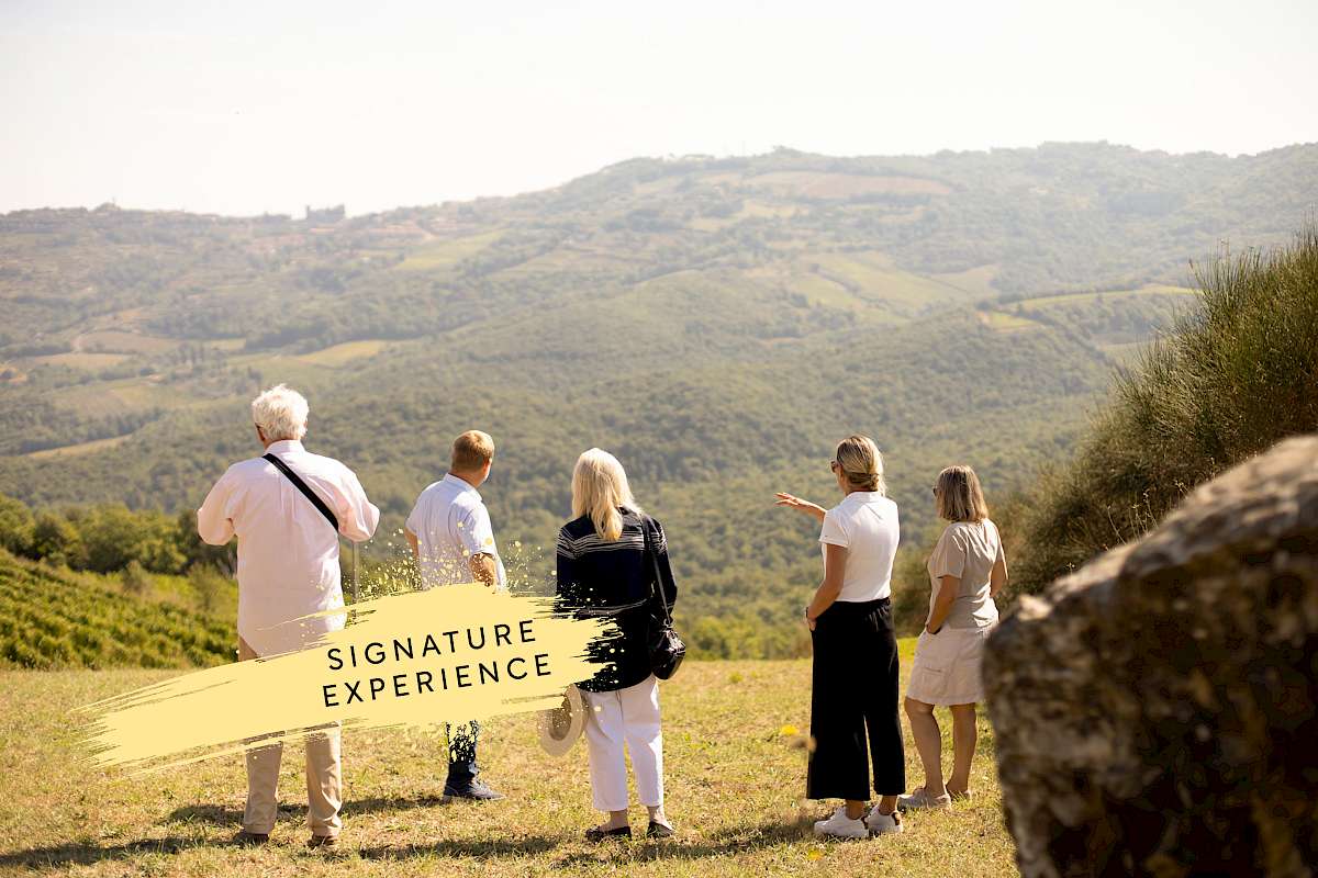 Winery Tour and Classic Wine Tasting | Montalcino Tuscany